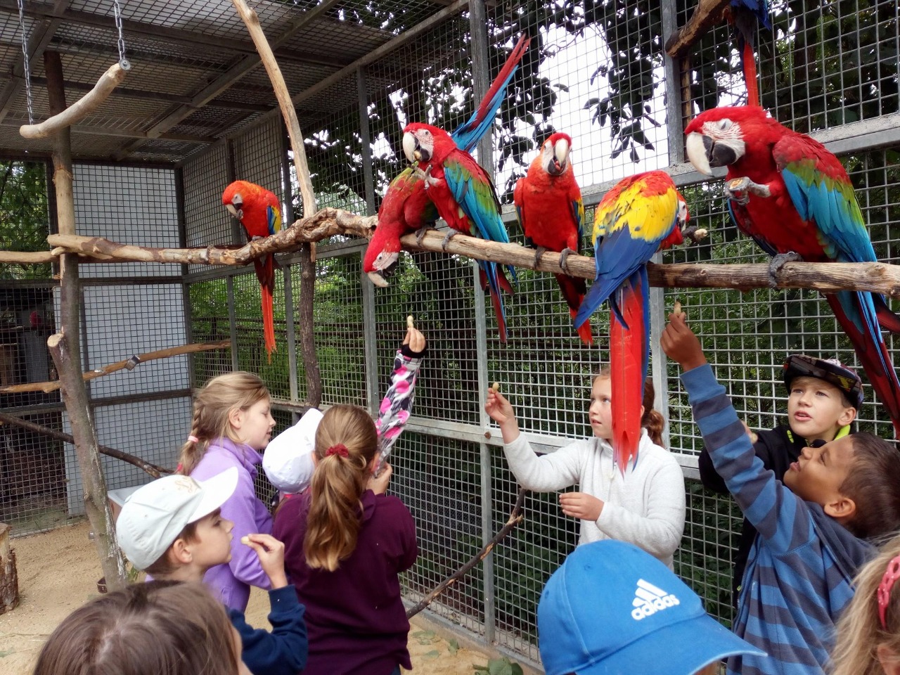 Zoo na Hrádečku je moderní zoologická zahrada s širokým výběrem exotických i domácích zvířat.